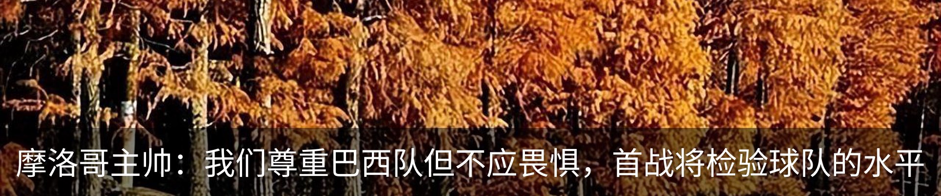 资讯中心